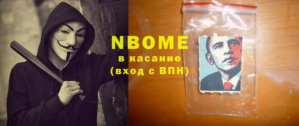 индика Алзамай