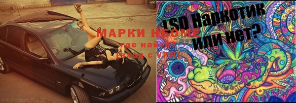 apvp Абаза
