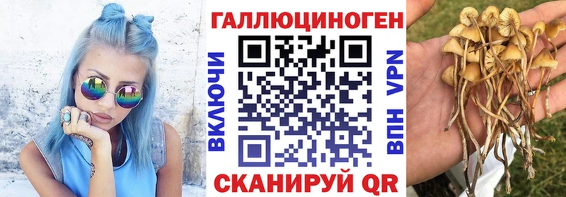 Псилоцибиновые грибы MAGIC MUSHROOMS  даркнет сайт  OMG ССЫЛКА  Вилючинск 